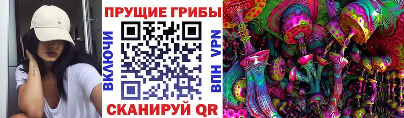 блэк спрут ссылка Узловая Псилоцибиновые грибы ЛСД